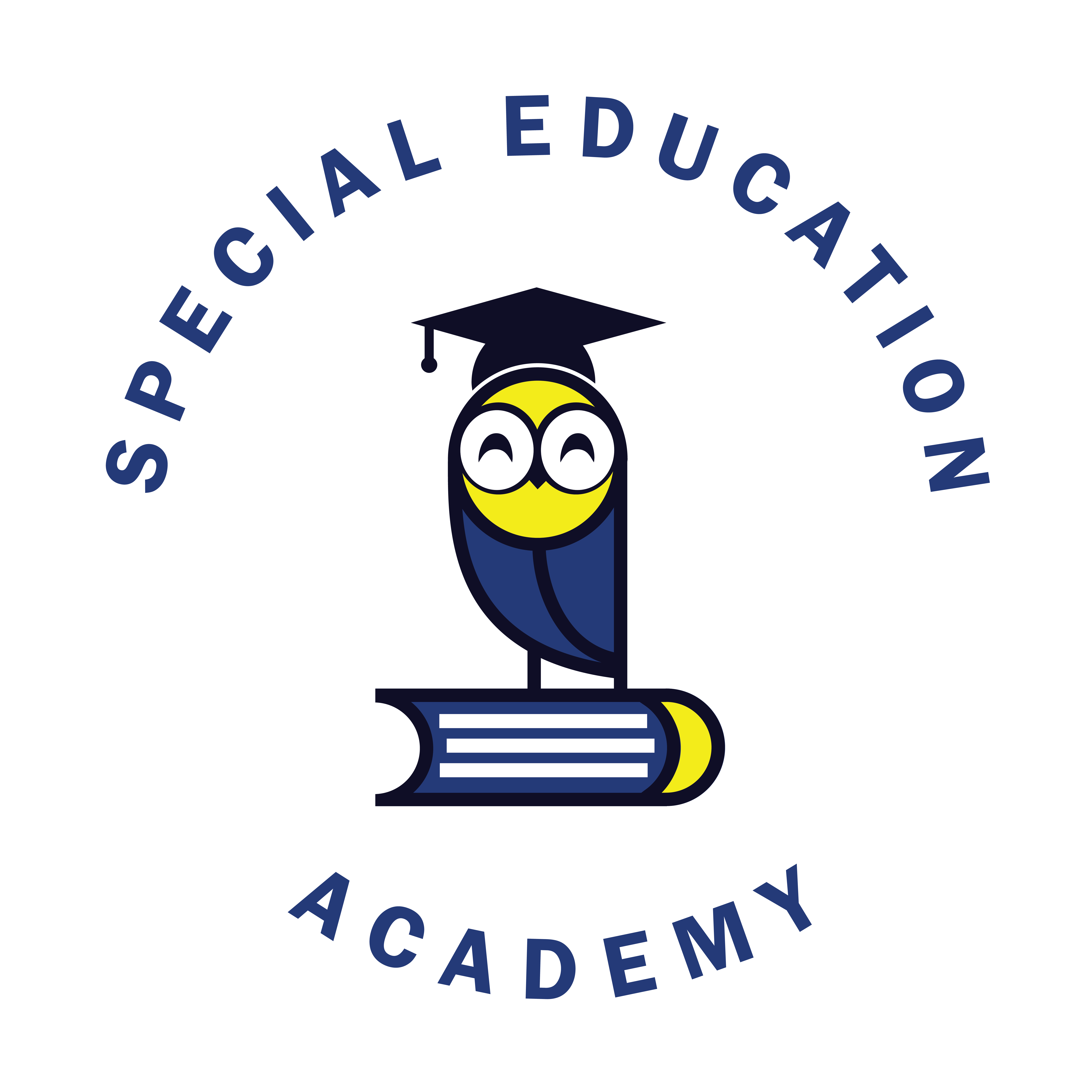 Special Education Academy™, KAREN MAYER CUNNINGHAM, Special Education Boss™, Advocate, Training, Mastermind